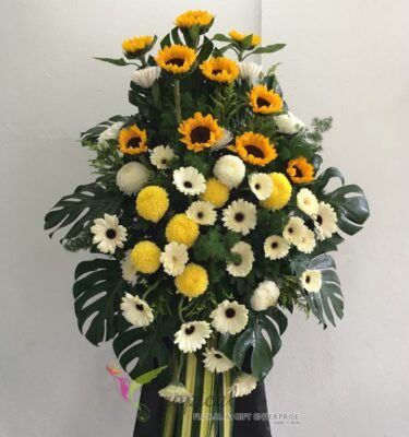 CS049