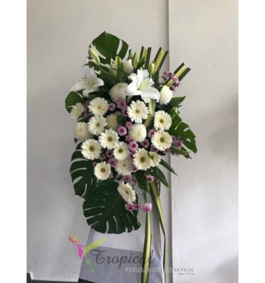 CS083