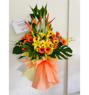 OP106